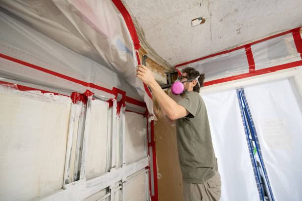 Best Mold Odor Removal Services  in North Hills, NY